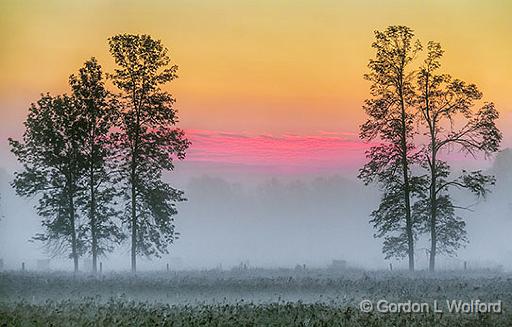 Foggy Sunrise_35671-2.jpg - Photographed near Jasper, Ontario, Canada.